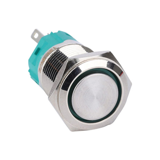 22mm flat head, momentary, ring led, 1N01NC, Stainless Steel-230V; RGY